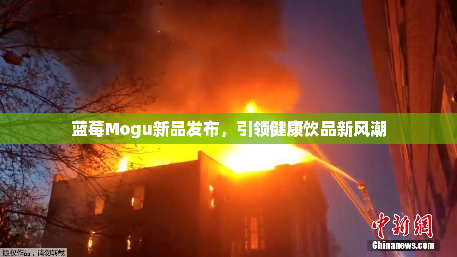 蓝莓Mogu新品发布，引领健康饮品新风潮
