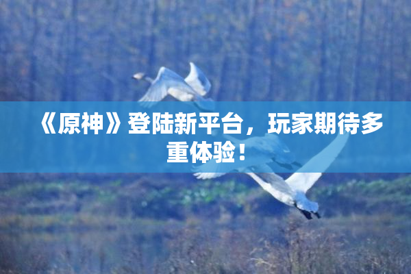 《原神》登陆新平台，玩家期待多重体验！