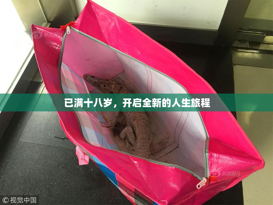 已满十八岁，开启全新的人生旅程