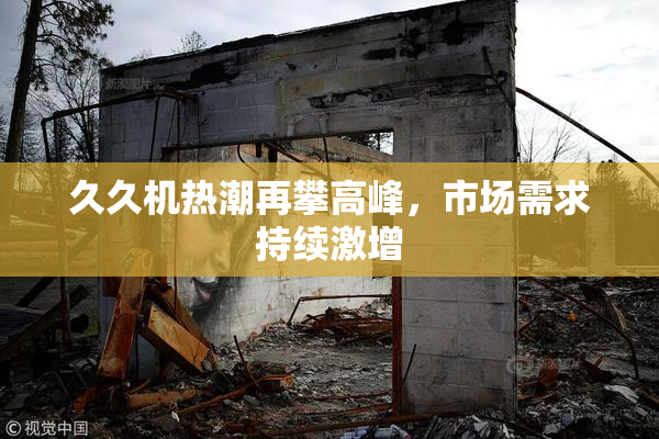 久久机热潮再攀高峰，市场需求持续激增