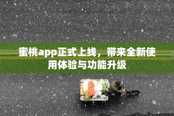 蜜桃app正式上线，带来全新使用体验与功能升级