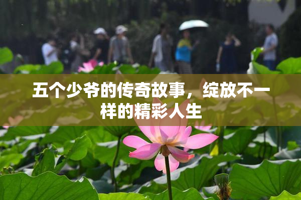 五个少爷的传奇故事，绽放不一样的精彩人生