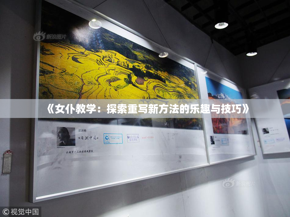 《女仆教学：探索重写新方法的乐趣与技巧》