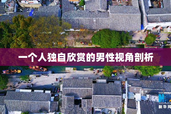 一个人独自欣赏的男性视角剖析