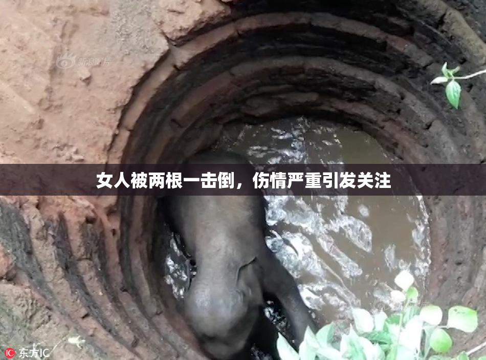 女人被两根一击倒，伤情严重引发关注