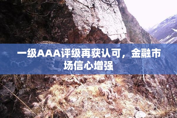 一级AAA评级再获认可，金融市场信心增强