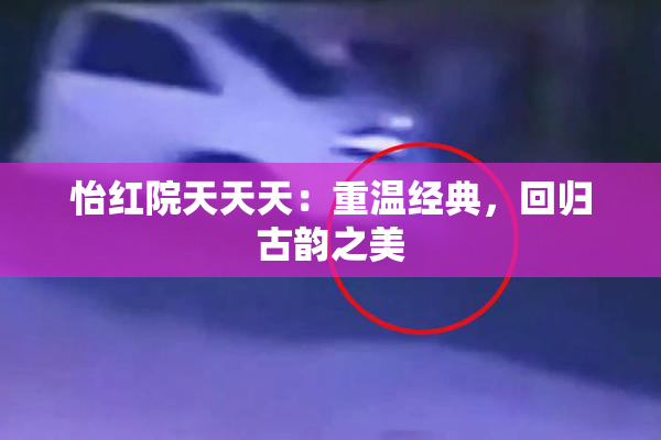 怡红院天天天：重温经典，回归古韵之美