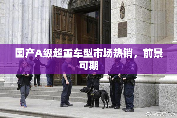 国产A级超重车型市场热销，前景可期