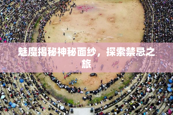 魅魔揭秘神秘面纱，探索禁忌之旅