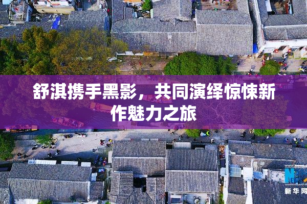 舒淇携手黑影，共同演绎惊悚新作魅力之旅