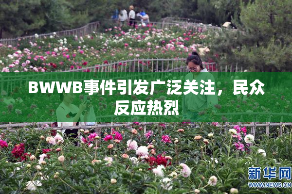 BWWB事件引发广泛关注，民众反应热烈