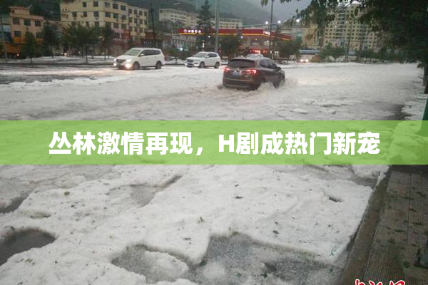 丛林激情再现，H剧成热门新宠