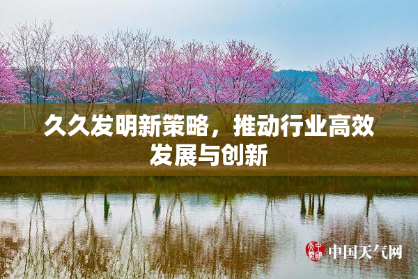 久久发明新策略，推动行业高效发展与创新