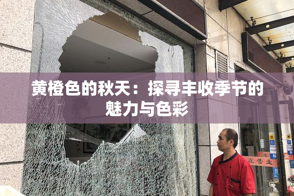 黄橙色的秋天：探寻丰收季节的魅力与色彩