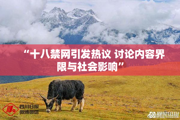 “十八禁网引发热议 讨论内容界限与社会影响”
