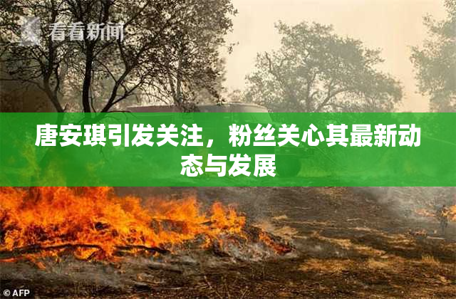 唐安琪引发关注，粉丝关心其最新动态与发展