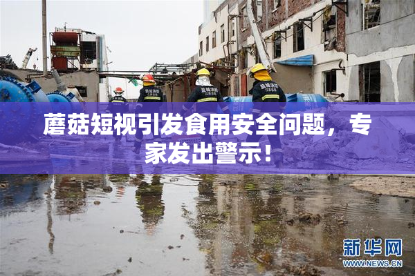 蘑菇短视引发食用安全问题，专家发出警示！