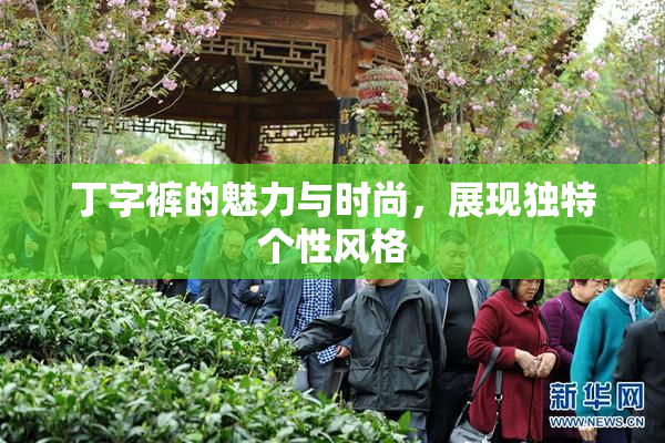 丁字裤的魅力与时尚，展现独特个性风格