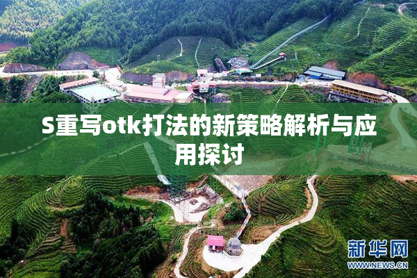 S重写otk打法的新策略解析与应用探讨