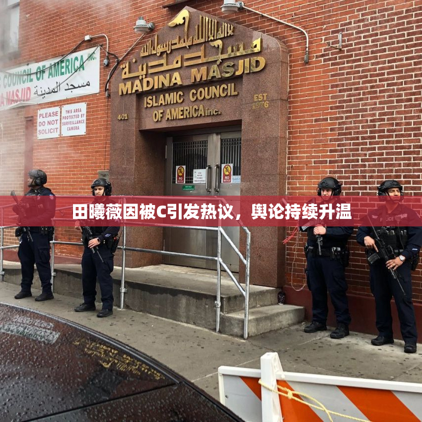 田曦薇因被C引发热议，舆论持续升温