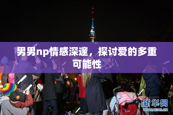 男男np情感深邃，探讨爱的多重可能性