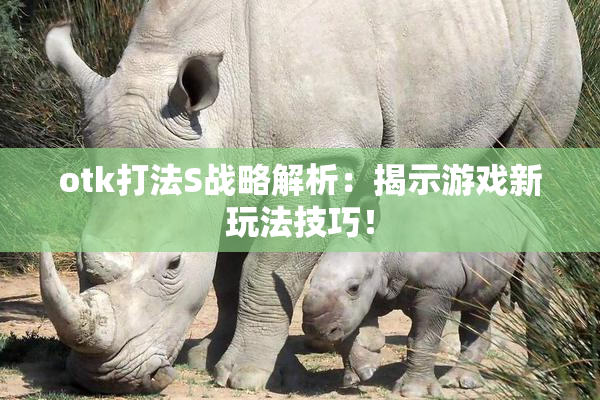 otk打法S战略解析：揭示游戏新玩法技巧！
