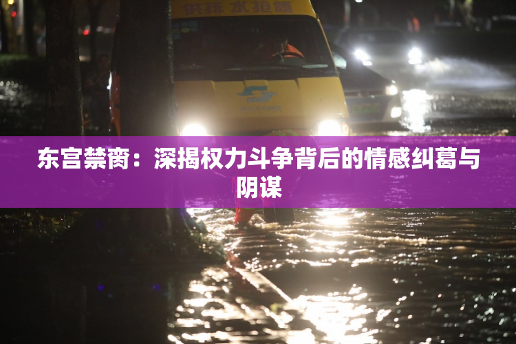 东宫禁脔：深揭权力斗争背后的情感纠葛与阴谋