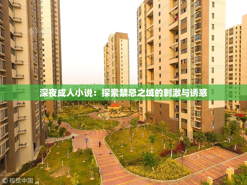 深夜成人小说：探索禁忌之域的刺激与诱惑