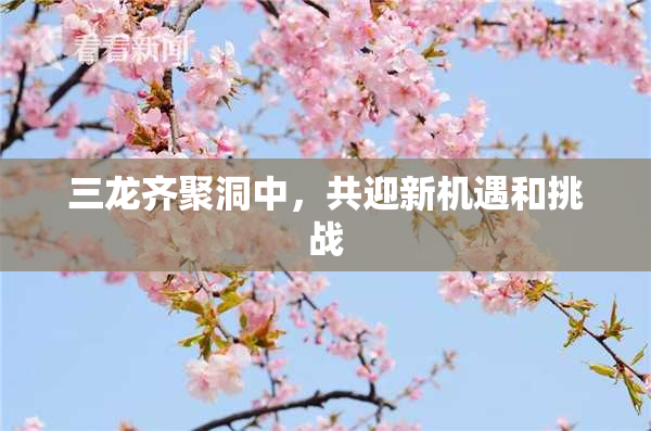 三龙齐聚洞中，共迎新机遇和挑战