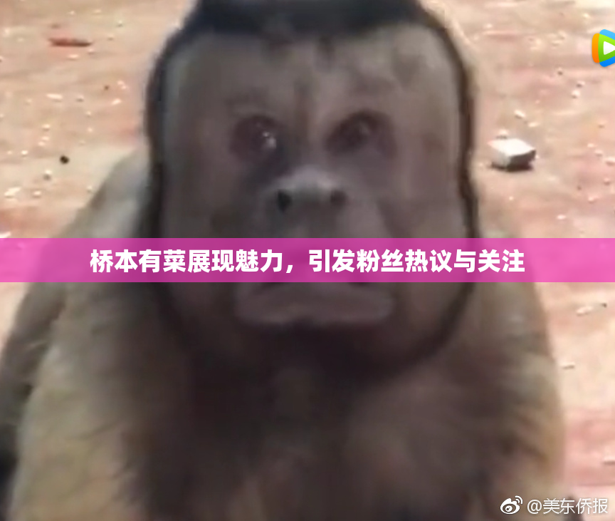桥本有菜展现魅力，引发粉丝热议与关注