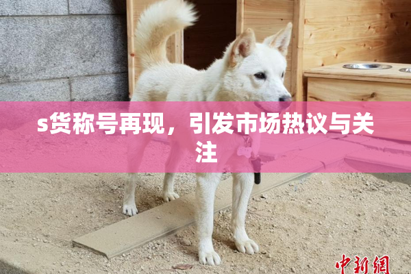 s货称号再现，引发市场热议与关注