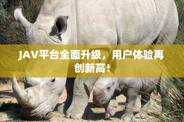 JAV平台全面升级，用户体验再创新高！
