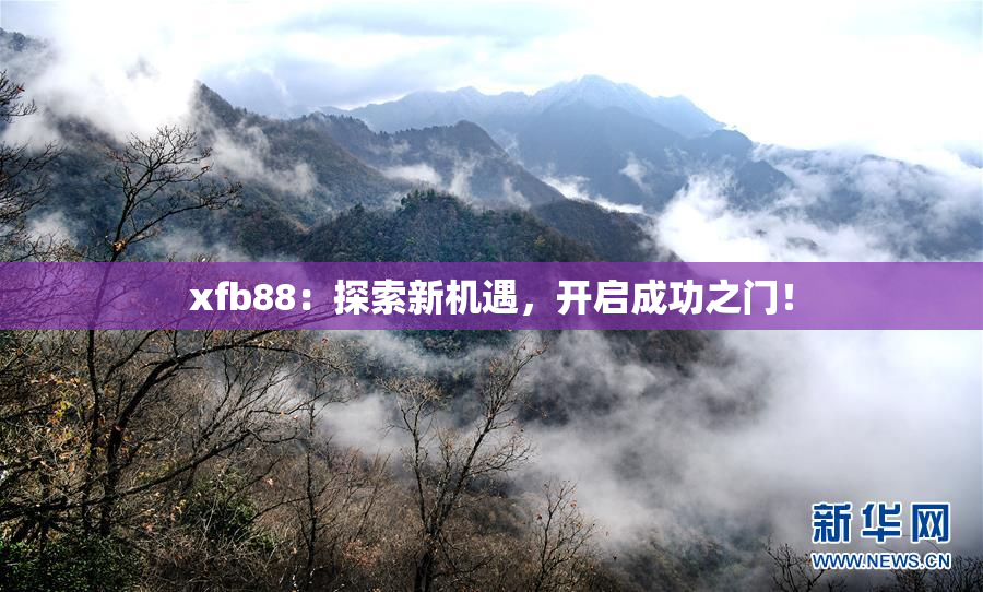 xfb88：探索新机遇，开启成功之门！
