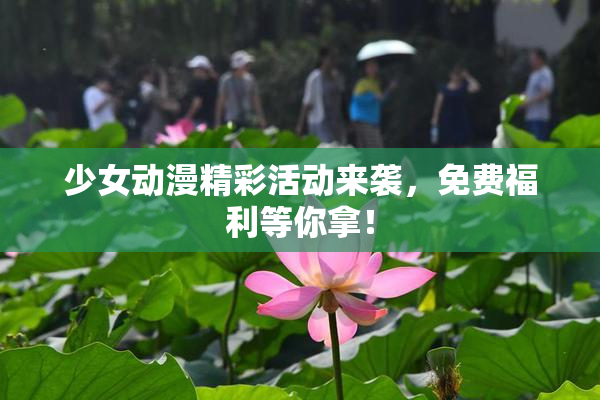 少女动漫精彩活动来袭，免费福利等你拿！