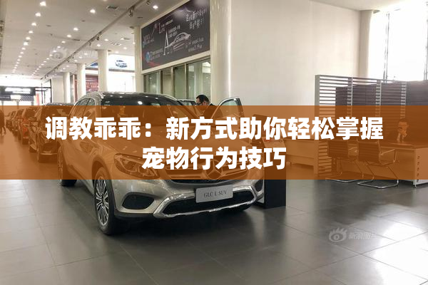 调教乖乖：新方式助你轻松掌握宠物行为技巧
