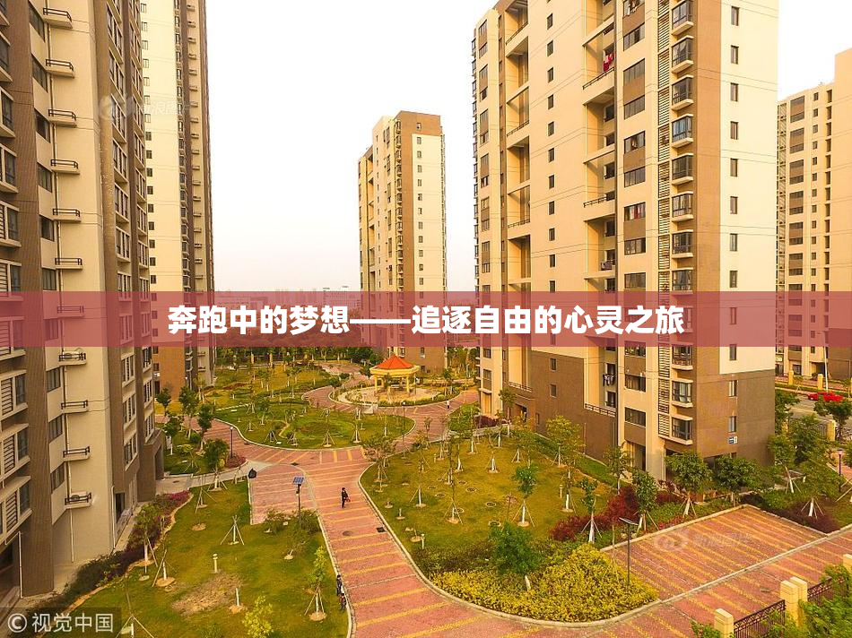 奔跑中的梦想——追逐自由的心灵之旅