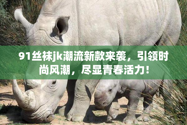 91丝袜jk潮流新款来袭，引领时尚风潮，尽显青春活力！