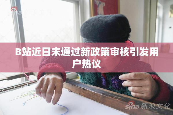 B站近日未通过新政策审核引发用户热议