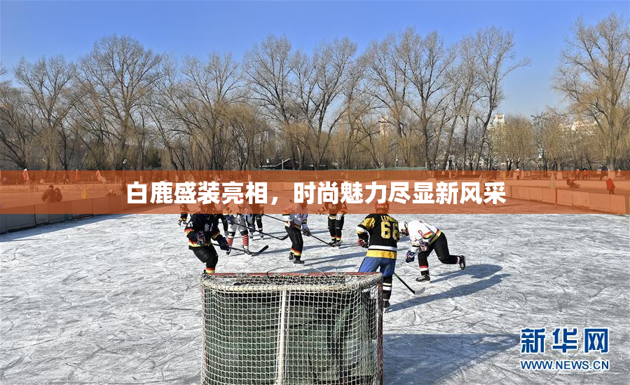 白鹿盛装亮相，时尚魅力尽显新风采