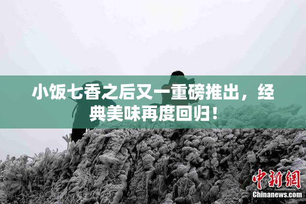 小饭七香之后又一重磅推出，经典美味再度回归！