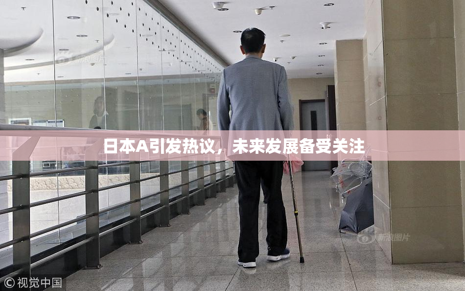 日本A引发热议，未来发展备受关注