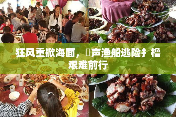 狂风重掀海面，喿声渔船逃险扌橹艰难前行