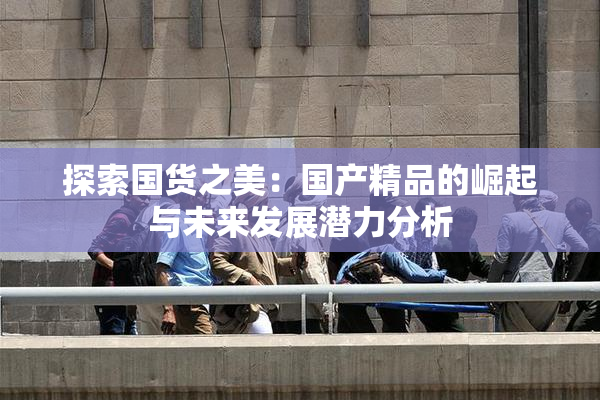 探索国货之美：国产精品的崛起与未来发展潜力分析