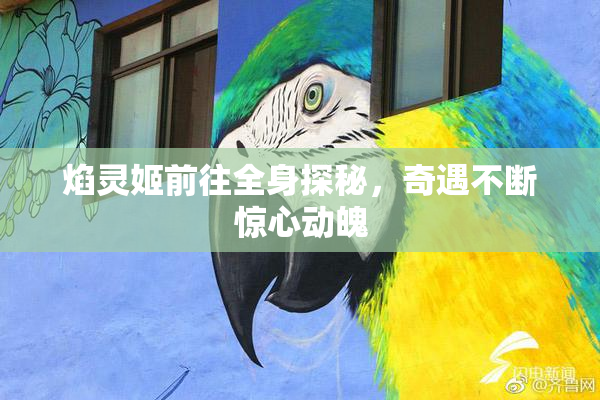 焰灵姬前往全身探秘，奇遇不断惊心动魄