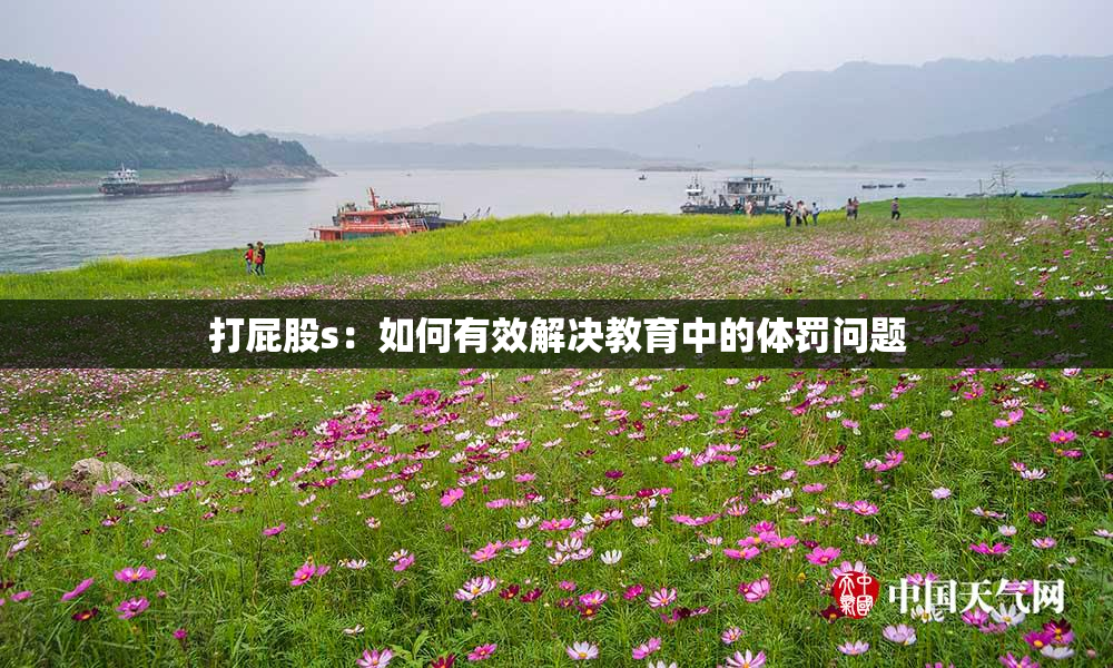 打屁股s：如何有效解决教育中的体罚问题