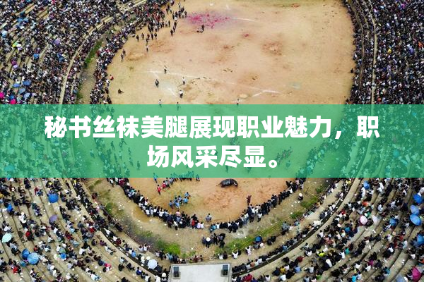 秘书丝袜美腿展现职业魅力，职场风采尽显。