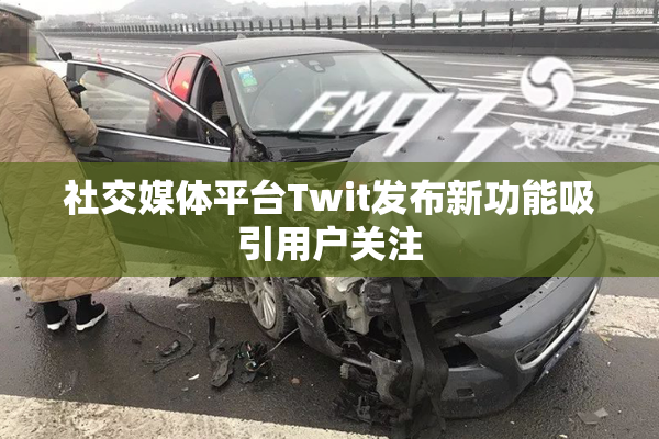 社交媒体平台Twit发布新功能吸引用户关注