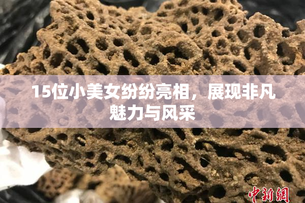 15位小美女纷纷亮相，展现非凡魅力与风采
