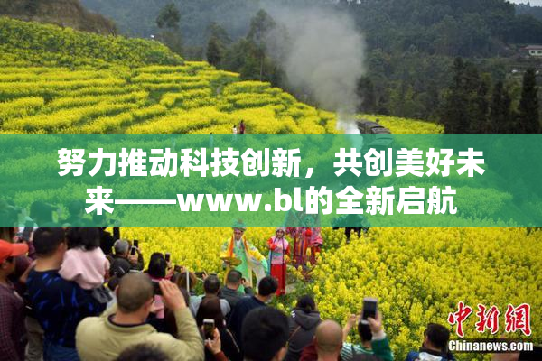 努力推动科技创新，共创美好未来——www.bl的全新启航