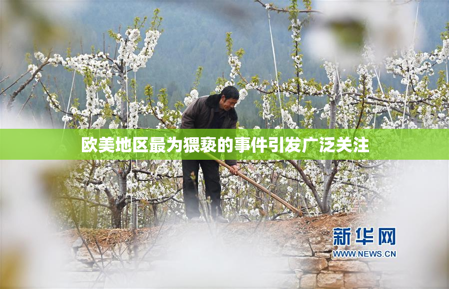 欧美地区最为猥亵的事件引发广泛关注